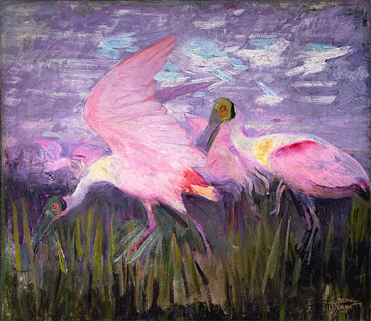 Roseate Spoonbills